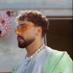 artist image Sefo Sefo - toz duman (prod. by Aerro) toz duman - Single