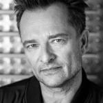 artist image David Hallyday He's My Girl True Cool