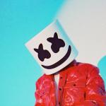 artist image Marshmello, Khalid Numb Numb - Single