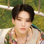 artist image HOSHI (SEVENTEEN) Spider Spider - Single