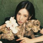 artist image WENDY Like Water Like Water - The 1st Mini Album - EP