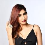 artist image Дон 2 (Don 2) Zaraa Dil Ko Thaam Lo Don 2 (Original Motion Picture Soundtrack)