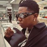 artist image Yung Bleu, Chris Brown Distant Lover Love Scars II (Acoustic Deluxe)