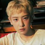 artist image CHANYEOL, Punch Stay With Me (OST Goblin 