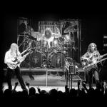 artist image Rush Fly By Night Spirit Of Radio: Greatest Hits (1974-1987)
