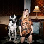artist image Alison Wonderland New Day (Fredrick Remix) 