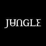 artist image Jungle Let's Go Back 