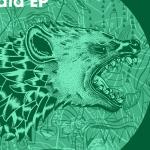 artist image Affani Gnawa Dark Dog Miami (Compilation '17)