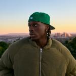artist image Fireboy DML Vibration Laughter, Tears & Goosebumps
