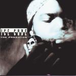 album image Wicked (Radio Mix) The Predator