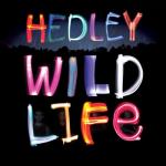 album image Crazy For You Wild Life