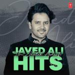 album image Guzarish Teri Jhalak Asharfi Javed Ali Hits