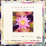 album image Don_t_matter__FKJ_remix_ Don't Matter (feat. Darianna Everett) - Single