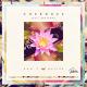 FKJ - Cherokee feat Darianna - Don't matter (FKJ remix)