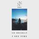 Ed Sheeran - I See Fire (Kygo Remix) #FS [Foam Stick ®]