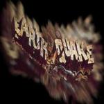 album image Smile Earthquake - Single