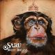Saru - Sweet Dreams (Remix)