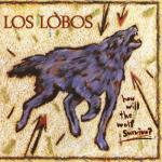 album image Don't Worry Baby How Will the Wolf Survive?