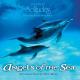 Dan Gibson's Solitudes - Angels of the Sea