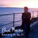Blue Macaw - A Pirate Sea Shanty