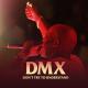 DMX - Party Up