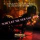 T. Tommy, Victor Perez, Vicente Ferrer - Now Let Me See You F**k