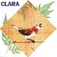 Clara Nunes - Portela Na Avenida
