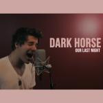 album image Dark Horse (Katy Perry Cover) Dark Horse (Rock Version) - Single