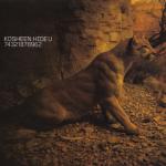 album image Hide U Hide U - Single