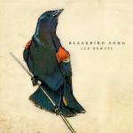 album image Blackbird Song Blackbird Song - Single
