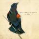 Lee DeWyze - Blackbird Song