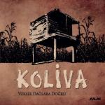 album image O Şarkı Yüksek Dağlara Doğru