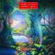 Bass Music - Entheogenic Sound Explorers - Beautifull Surprise ( Chill out Downtempo Ambient )