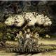 MAN WITH A MISSION - When My Devil Rises