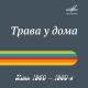 Вахтанг Кикабидзе, Орэра - Чито-гврито (Из к/ф "Мимино")