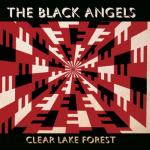album image Diamond Eyes Clear Lake Forest