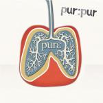 album image Make Love to Me Pure