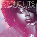 album image Wish I Didn't Miss You Stone Hits: The Very Best of Angie Stone