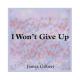 James Gilbert - Somebody That I Use to Be