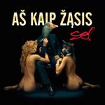album image Nes Aš Tik Vėjas Aš Kaip Žąsis