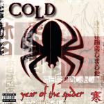 album image Remedy Year of the Spider