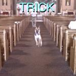album image mary Trick