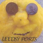 album image You The Leedsy Ports