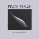 Denise DeSimone - Muslim Prayer for Peace