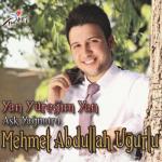 album image Tü Tü Maşallah Aşk Yağmuru / Yan Yüreğim Yan