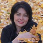 album image Fly Away on the Wings of the Wind Перелётные Птицы!