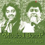 album image 365 серия - прощание с бабулей (Ek Charraiya) Musical Bond: Jeet Gannguli & Arijit Singh