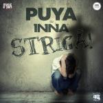 album image Striga (Radio Version)