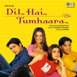 album image Mohabbat Dil Ka Sakoon Dil Hai Tumhaara (Original Motion Picture Soundtrack)