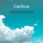 album image Şeftali Kırmızısı Şeftali Kırmızısı - Single